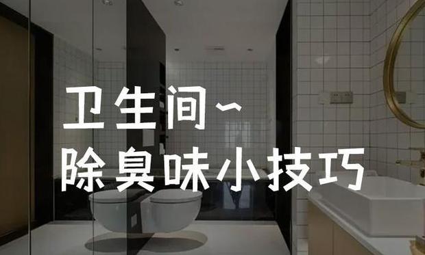 揭秘厕所异味源头：轻松除臭小技巧大公开