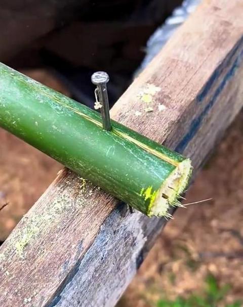 竹制用品防裂秘籍大公开