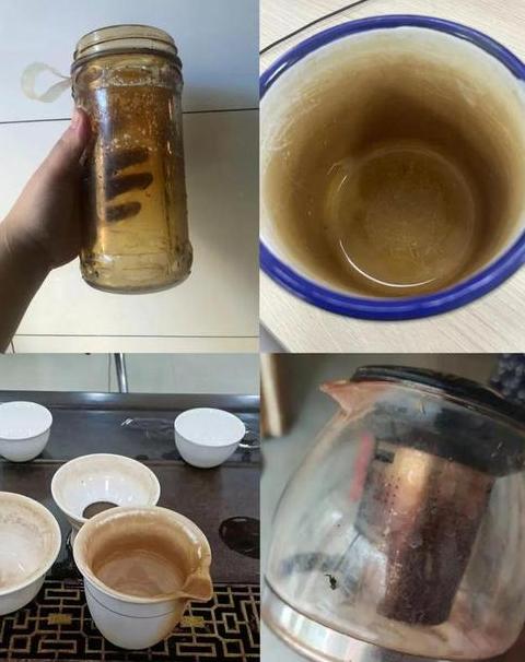 5招快速去除保温杯茶垢技巧