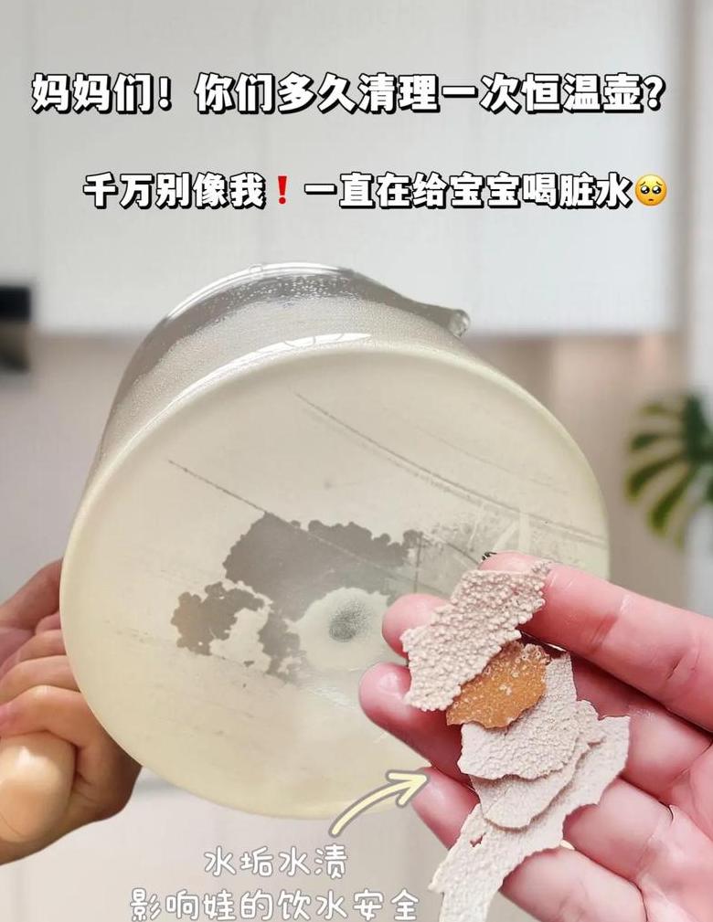 可乐除垢小窍门：酸性饮料如何有效去除水垢