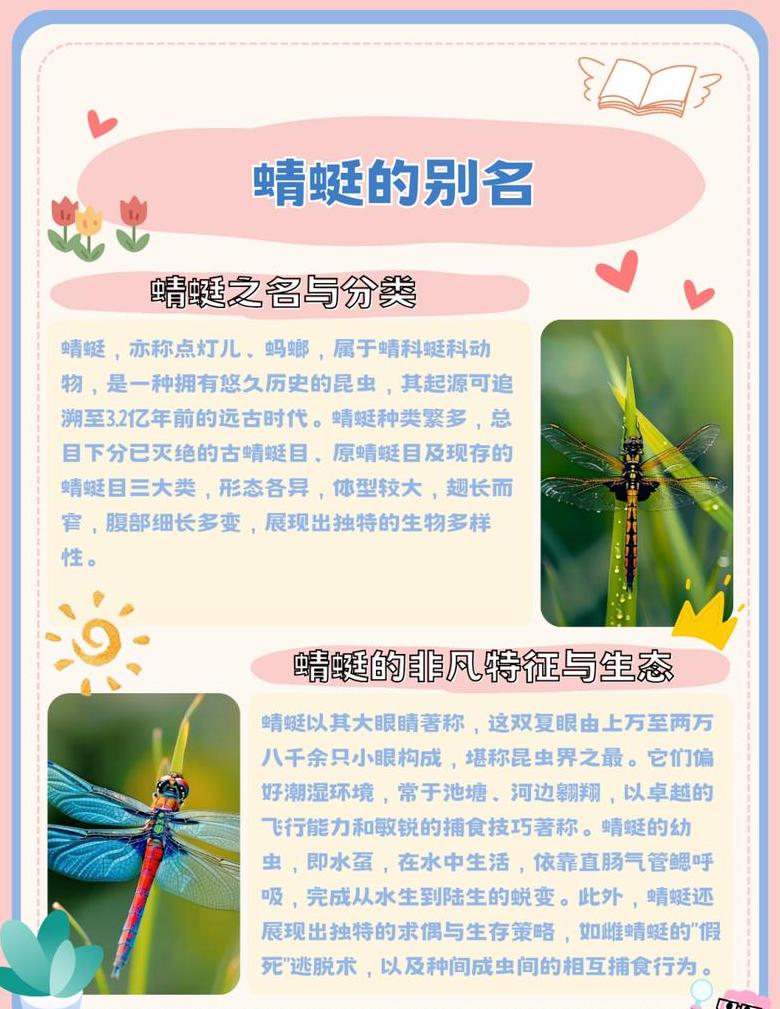 蜿蜒拼音详解：探寻其多面含义与美