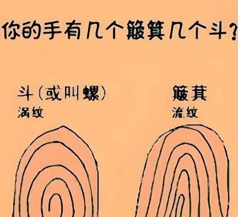 汉字箕的由来及笔画顺序详解
