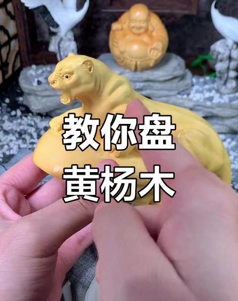 黄杨木把件/手链/手串盘玩全攻略