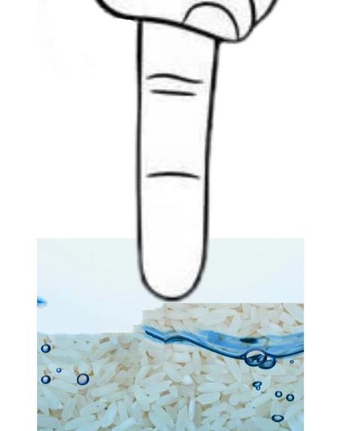 一指量水蒸米饭：掌握最佳比例，让米饭更美味