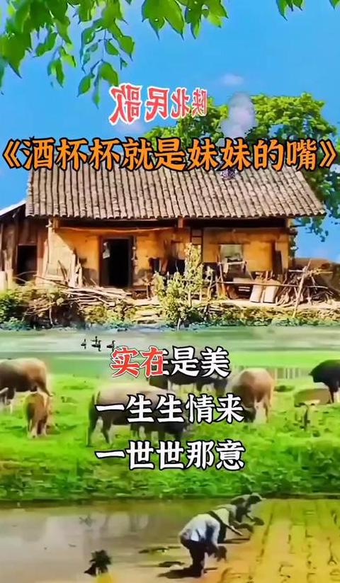酒瓶高酒杯低：经典歌曲背后的故事与影响