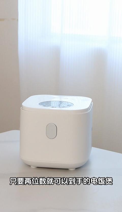 电饭锅陶瓷内胆安全吗？材质解析与选购指南