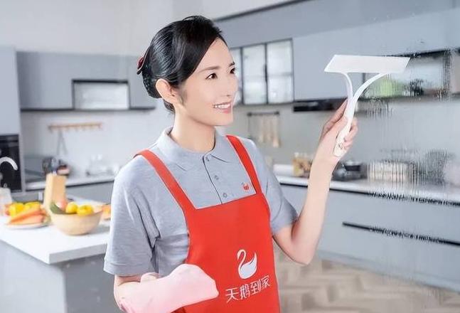 天鹅到家保洁服务费用及正规性解析