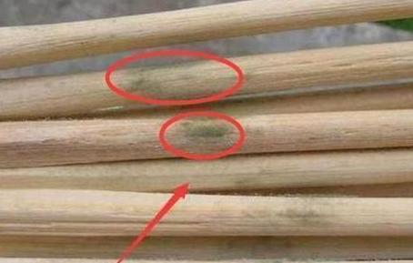 筷子发霉危害大，如何正确清洗与存放？