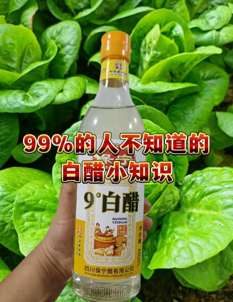 衣柜除味攻略：10大实用妙招焕新空气