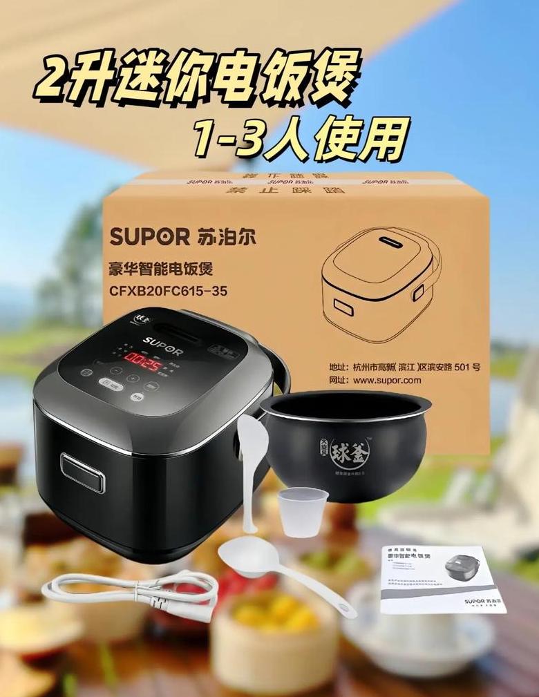 2-3人小家庭电饭煲选购指南