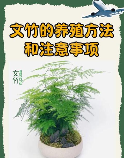 竹材防裂处理与保养全攻略