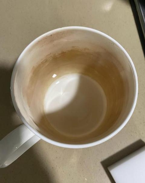 杯刷海绵：不同杯子清洁的最佳选择