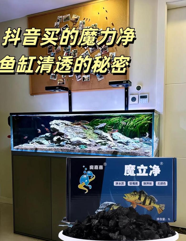 鱼缸黄水处理技巧与原因解析