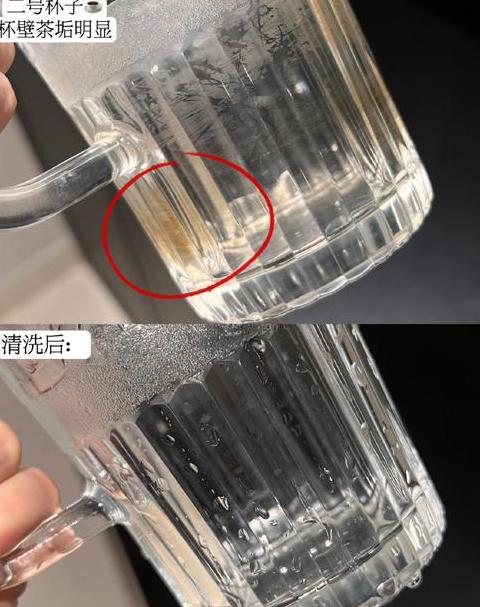 瓷杯清洁妙招：轻松去除茶渍与水垢